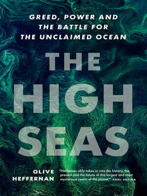 cover image of The High Seas